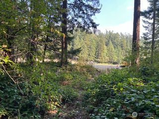 135 Chinook Way, Center Island, WA 98221