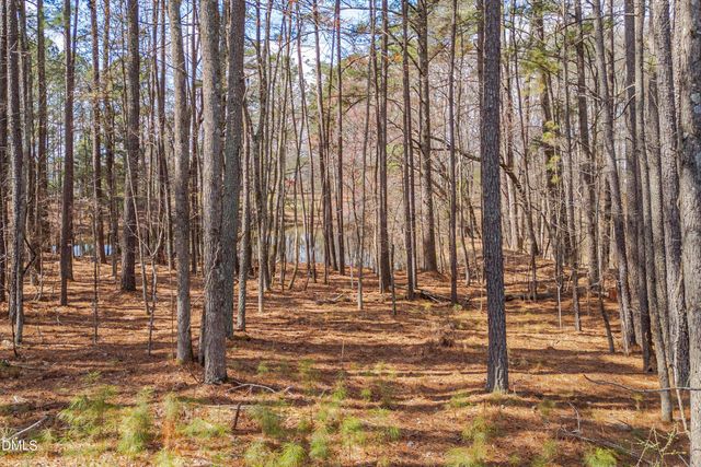 2042 Florine Drive, Apex, NC 27502