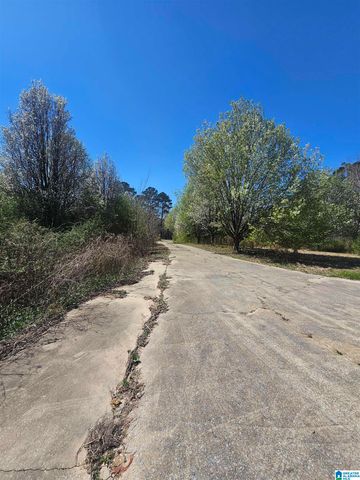 48 ESTELLE LANE, Talladega, AL 35160