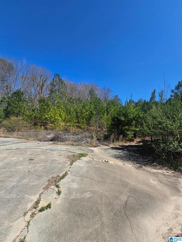 48 ESTELLE LANE, Talladega, AL 35160