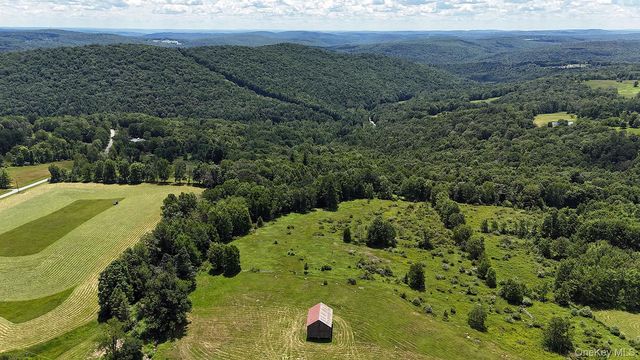 180 Henderson Road, Hankins, NY 12741