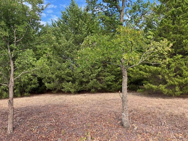 TBD County Road 670, Blue Ridge, TX 75424