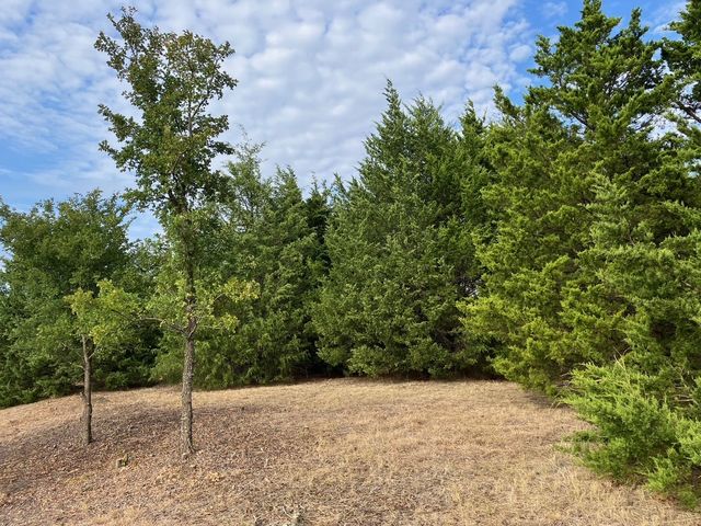 TBD County Road 670, Blue Ridge, TX 75424