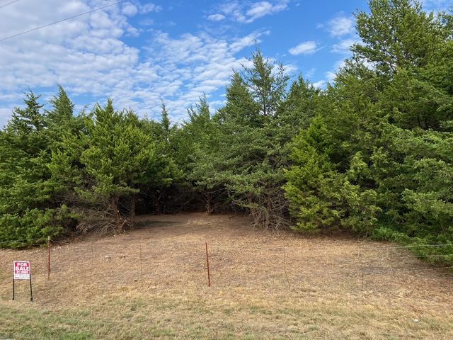 TBD County Road 670, Blue Ridge, TX 75424