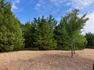 TBD County Road 670, Blue Ridge, TX 75424