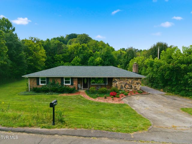 157 Old Moreland Drive, Kingsport, TN 37663