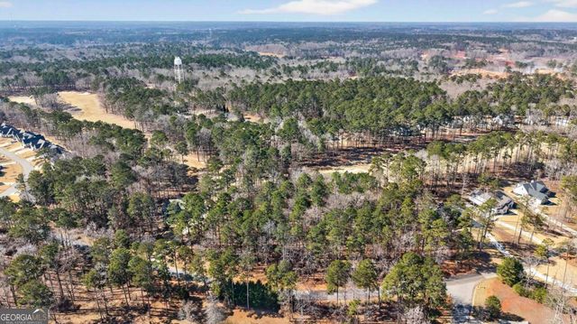 1841 Osprey Poynte, Greensboro, GA 30642