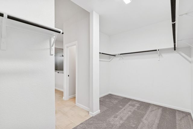 26542 Delightful Drive, Hockley, TX 77447