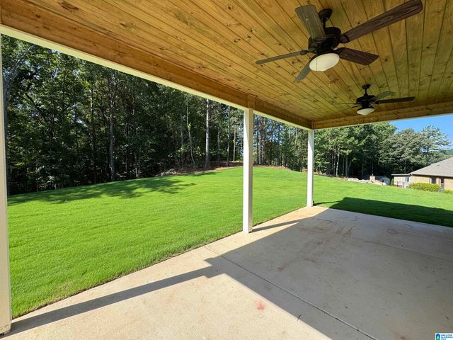3273 RIVERBIRCH TRAIL, Chelsea, AL 35043