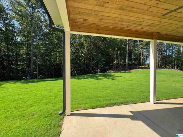 3273 RIVERBIRCH TRAIL, Chelsea, AL 35043