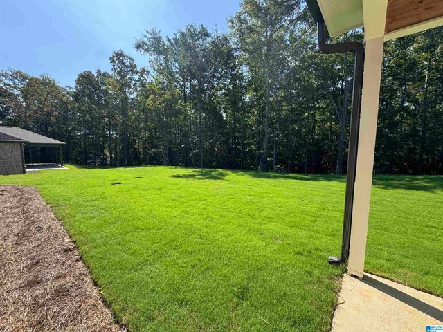 3273 RIVERBIRCH TRAIL, Chelsea, AL 35043