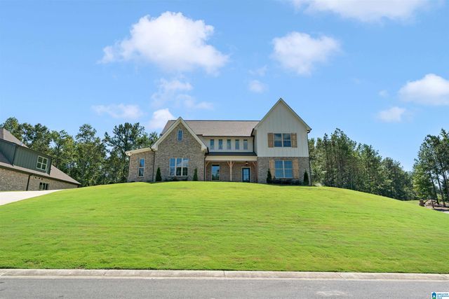 3273 RIVERBIRCH TRAIL, Chelsea, AL 35043