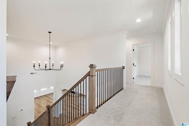 3273 RIVERBIRCH TRAIL, Chelsea, AL 35043