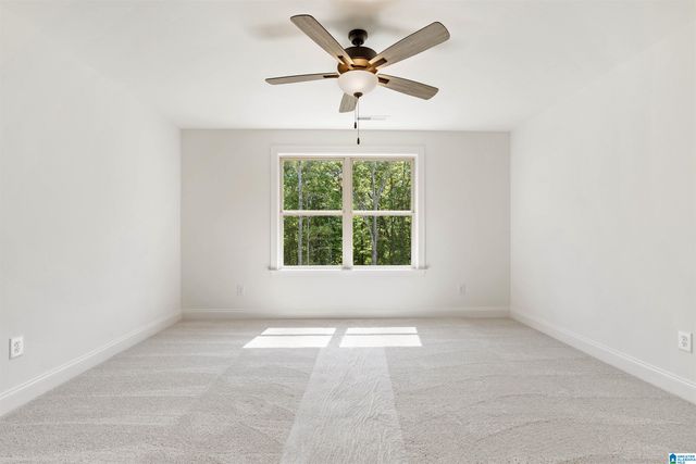 3273 RIVERBIRCH TRAIL, Chelsea, AL 35043
