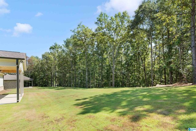 3273 RIVERBIRCH TRAIL, Chelsea, AL 35043
