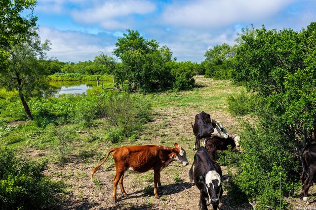 000 Private Road 5754, Castroville, TX 78009