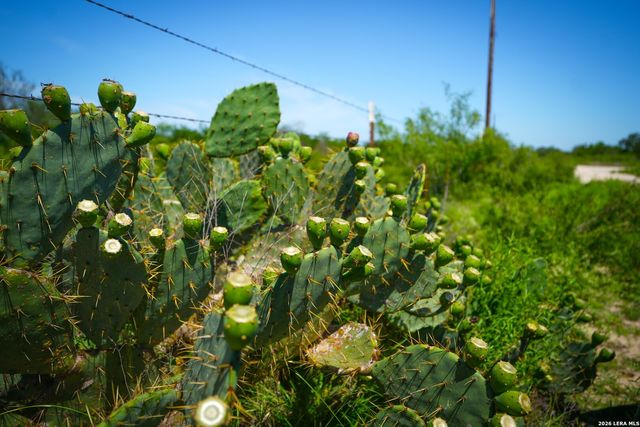 000 Private Road 5754, Castroville, TX 78009