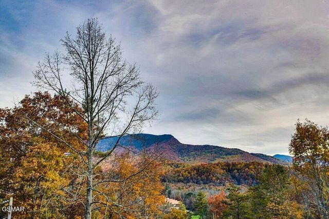 3709 Eagle Lane, Gatlinburg, TN 37738