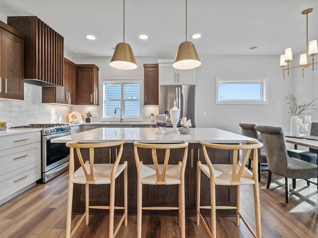 26497 Pond Court, Elko New Market, MN 55020