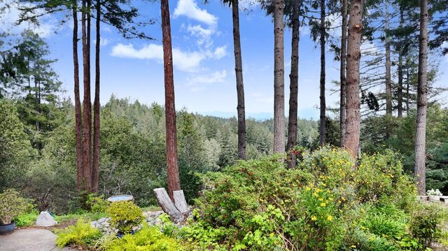 8950 Hwy 116, Forestville, CA 95436