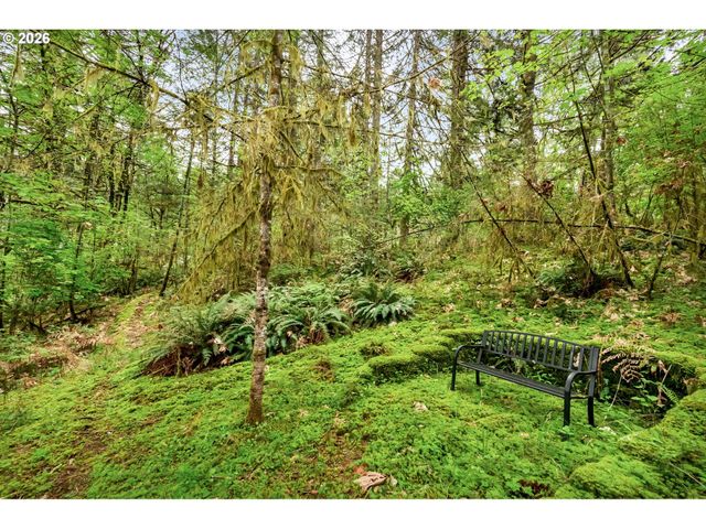 89879 SHEFFLER Rd, Elmira, OR 97437