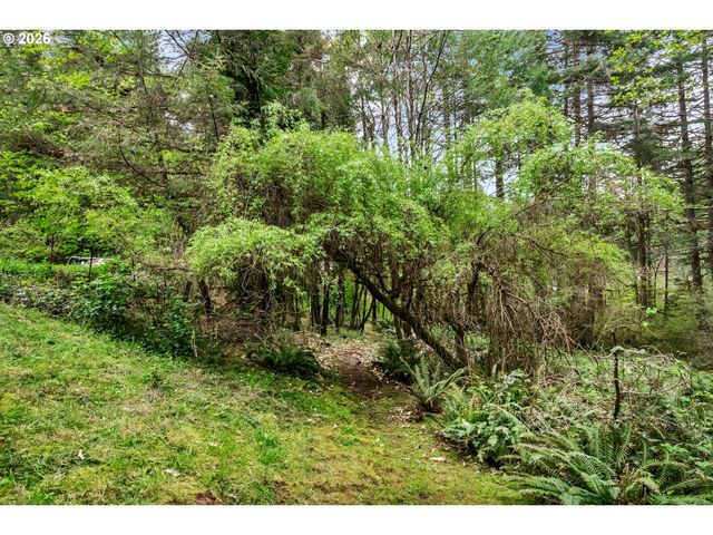 89879 SHEFFLER Rd, Elmira, OR 97437