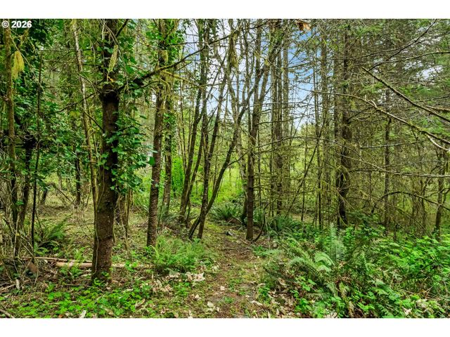 89879 SHEFFLER Rd, Elmira, OR 97437