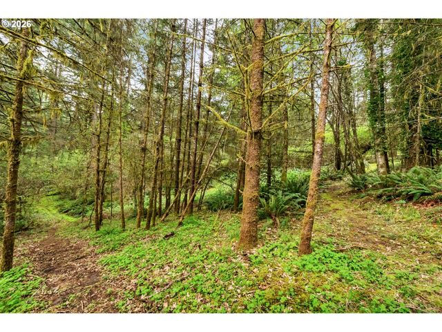 89879 SHEFFLER Rd, Elmira, OR 97437