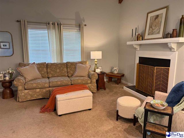 1816 Meadow Green Place, Florence, SC 29501