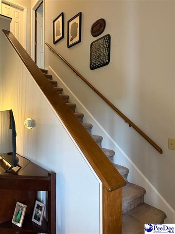 1816 Meadow Green Place, Florence, SC 29501