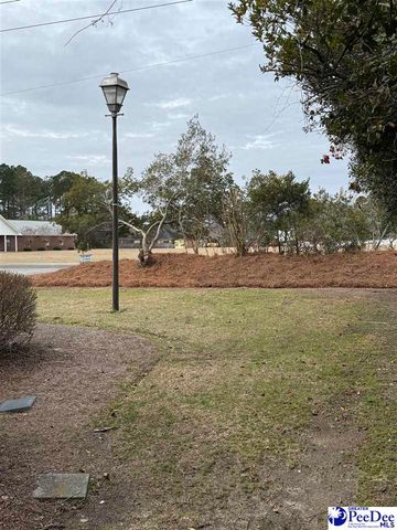 1816 Meadow Green Place, Florence, SC 29501