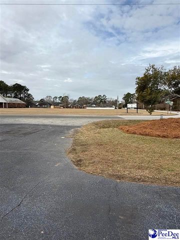 1816 Meadow Green Place, Florence, SC 29501