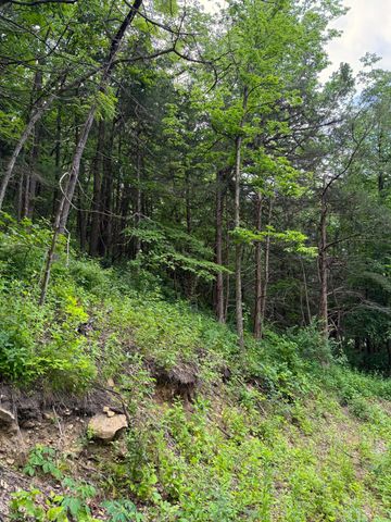 W12412 State Highway 35, Stockholm, WI 54769