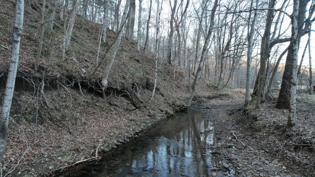 3795 Wayland Springs Rd, Iron City, TN 38463