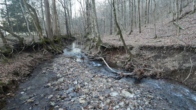 3795 Wayland Springs Rd, Iron City, TN 38463