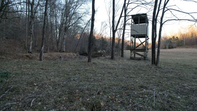 3795 Wayland Springs Rd, Iron City, TN 38463