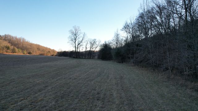 3795 Wayland Springs Rd, Iron City, TN 38463