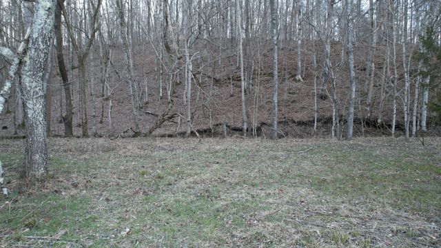 3795 Wayland Springs Rd, Iron City, TN 38463