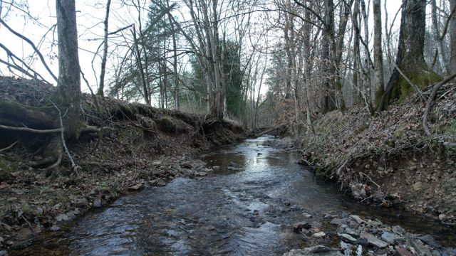 3795 Wayland Springs Rd, Iron City, TN 38463