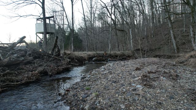 3795 Wayland Springs Rd, Iron City, TN 38463