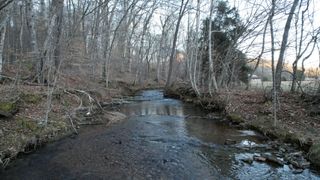 3795 Wayland Springs Rd, Iron City, TN 38463