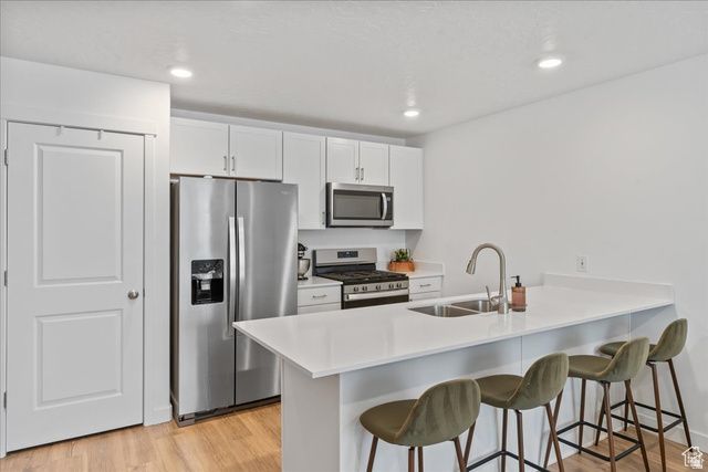 1093 E YARD ROW, Saratoga Springs, UT 84045