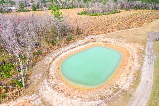 2064 N Hwy 121, Bristol, GA 31518