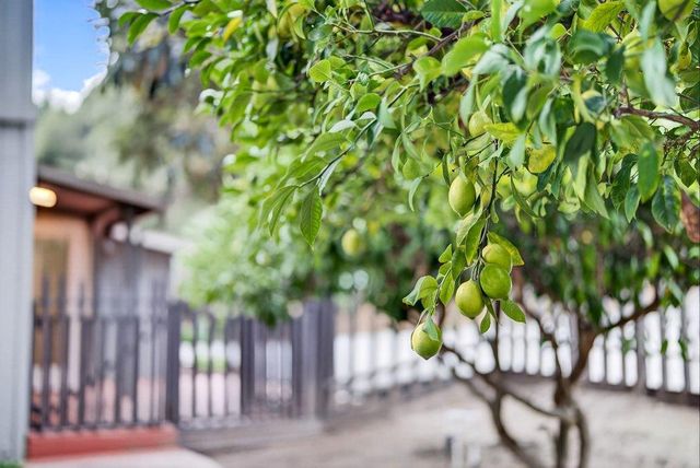 1455 Fern Flat Road, Aptos, CA 95003