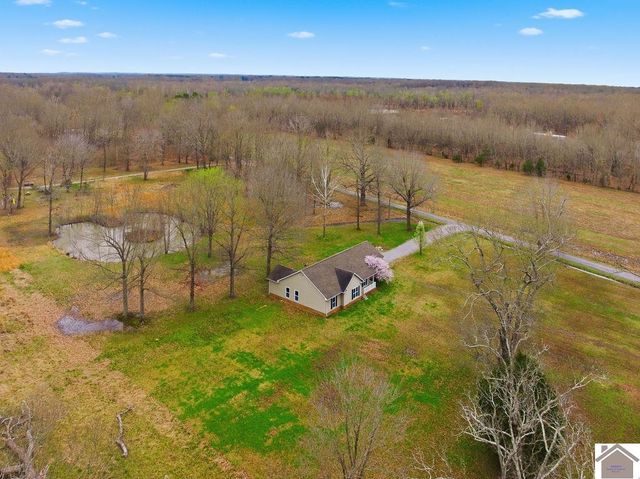 5950 Oaks Road, Symsonia, KY 42003