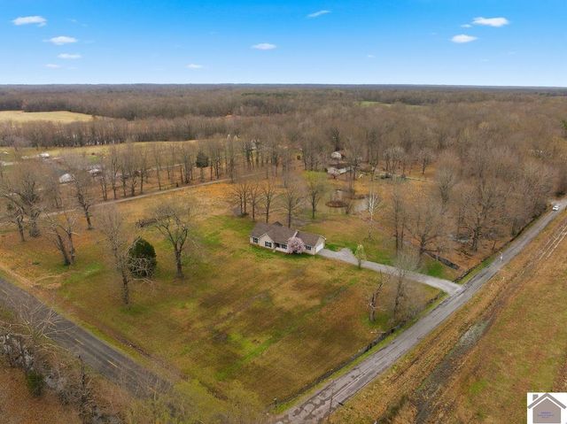 5950 Oaks Road, Symsonia, KY 42003