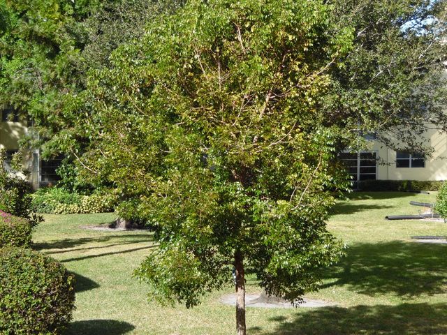 1100 Ponce De Leon Circle N102, Vero Beach, FL 32960
