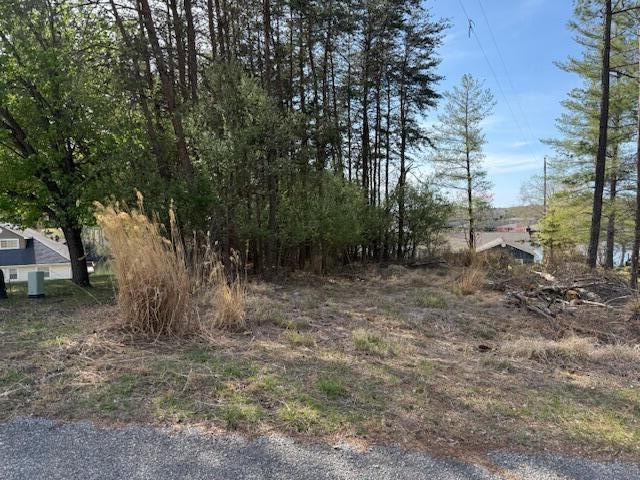 Lot 42 Oak Hollow RD, Moneta, VA 24121