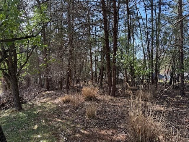 Lot 42 Oak Hollow RD, Moneta, VA 24121