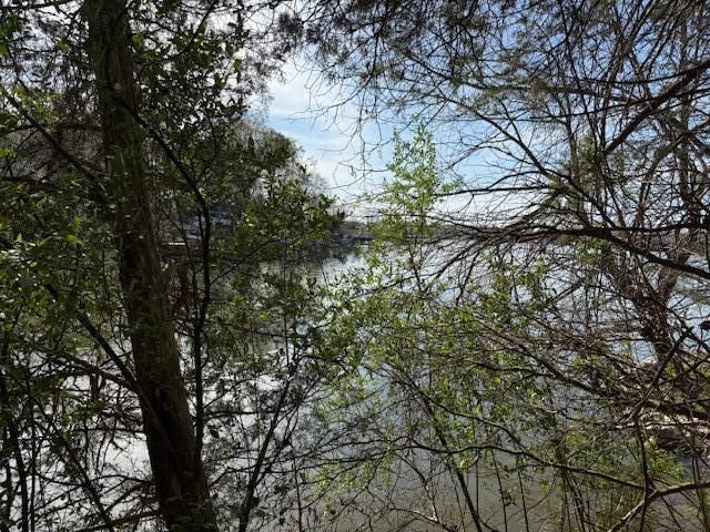 Lot 42 Oak Hollow RD, Moneta, VA 24121